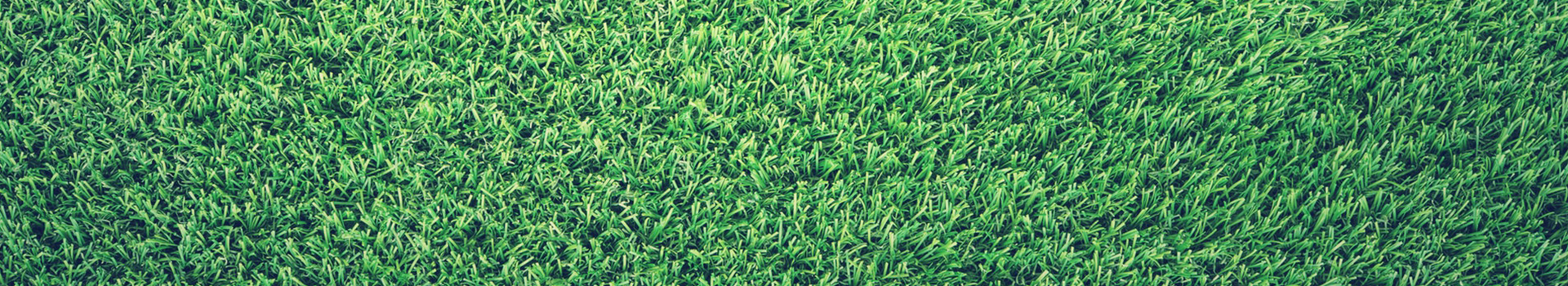 Elite Artificial Grass