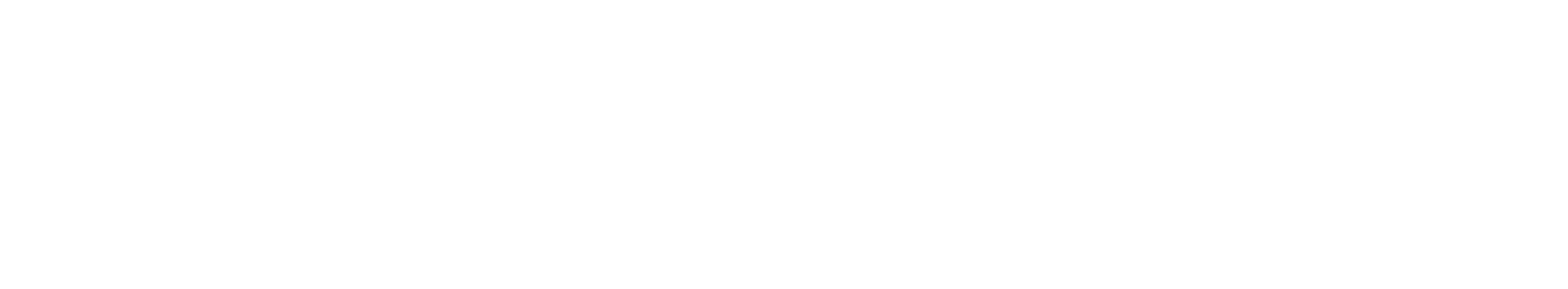 Elite Cleaning